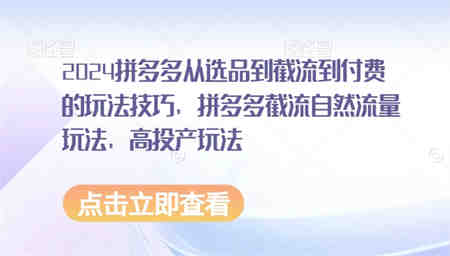 2024拼多多从选品到截流到付费的玩法技巧，拼多多截流自然流量玩法，高投产玩法-侠客分享网