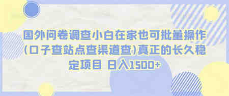 国外问卷调查小白在家也可批量操作(口子查站点查渠道查)真正的长久稳定项目 日入1500+-侠客分享网