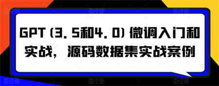 GPT(3.5和4.0)微调入门和实战，源码数据集实战案例-侠客分享网