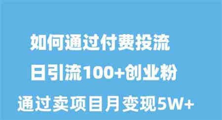 （10189期）如何通过付费投流日引流100+创业粉月变现5W+-侠客分享网