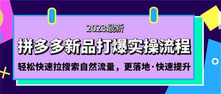 拼多多-新品打爆实操流程：轻松快速拉搜索自然流量，更落地·快速提升!-侠客分享网