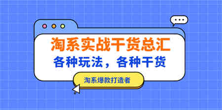 淘系实战干货总汇：各种玩法，各种干货，淘系爆款打造者！-侠客分享网