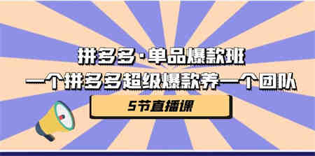 拼多多·单品爆款班，一个拼多多超级爆款养一个团队（5节直播课）-侠客分享网