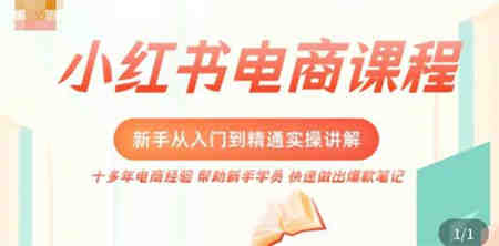 小红书电商新手入门到精通实操课，从入门到精通做爆款笔记，开店运营-侠客分享网