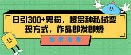 独家推荐！日引300+男粉，超多种私域变现方式，作品即发即报-侠客分享网