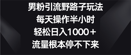 男粉引流野路子玩法，每天操作半小时轻松日入1000＋，流量根本停不下来-侠客分享网