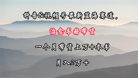 抖音&视频号最新蓝海赛道，治愈书籍带货，一个月带货上万+本书，月入2万＋-侠客分享网