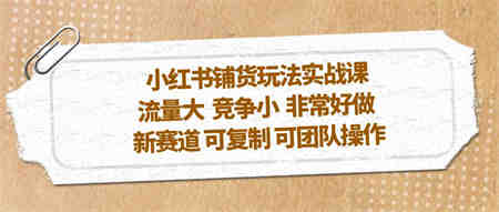 小红书铺货玩法实战课，流量大 竞争小 非常好做 新赛道 可复制 可团队操作-侠客分享网