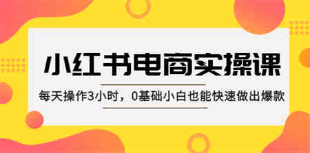 小红书·电商实操课：每天操作3小时，0基础小白也能快速做出爆款！-侠客分享网