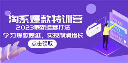 2023淘系爆款特训营，2023最新运营打法，学习爆款思维，实现利润增长-侠客分享网