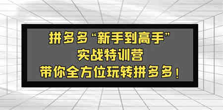 拼多多“新手到高手”实战特训营：带你全方位玩转拼多多！-侠客分享网