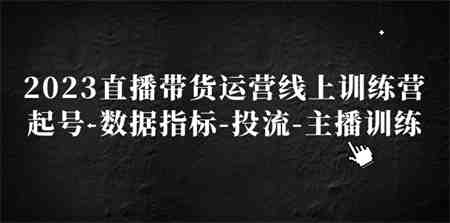 2023直播带货运营线上训练营，起号-数据指标-投流-主播训练-侠客分享网