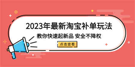 2023年最新淘宝补单玩法，教你快速起·新品，安全·不降权（18课时）-侠客分享网