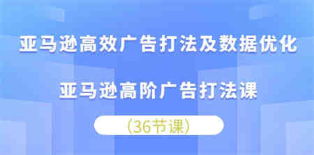 亚马逊高效广告打法及数据优化，亚马逊高阶广告打法课（36节）-侠客分享网