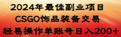 2024年最佳副业项目 CSGO饰品装备交易 轻易操作单账号日入200+-侠客分享网