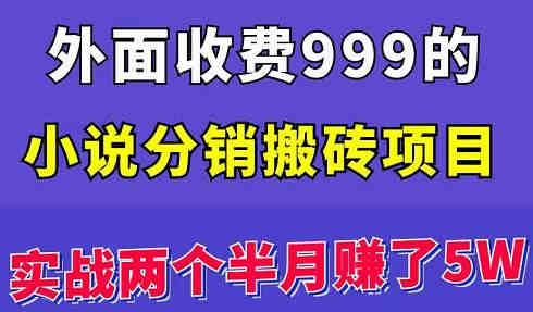 外面收费999的小说分销搬砖项目：实战两个半月赚了5W块，操作简单！￼-侠客分享网