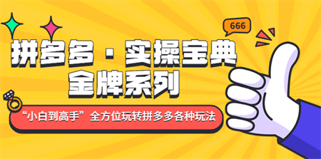 拼多多·实操宝典：金牌系列“小白到高手”带你全方位玩转拼多多各种玩法-侠客分享网