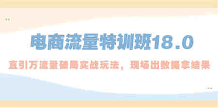 电商流量特训班18.0，直引万流量破局实操玩法，现场出数据拿结果-侠客分享网