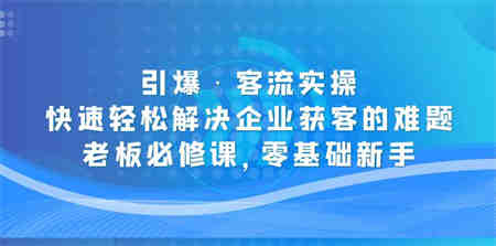 引爆·客流实操：快速轻松解决企业获客的难题，老板必修课，零基础新手-侠客分享网