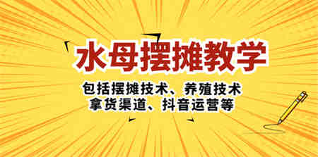 水母·摆摊教学，包括摆摊技术、养殖技术、拿货渠道、抖音运营等-侠客分享网