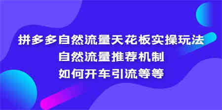 拼多多自然流量天花板实操玩法：自然流量推荐机制，如何开车引流等等-侠客分享网