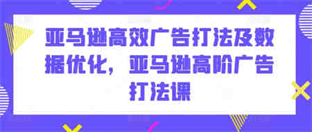 亚马逊高效广告打法及数据优化，亚马逊高阶广告打法课-侠客分享网