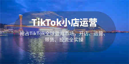 TikTok小店运营 抢占TikTok全球蓝海市场，开店、运营、带货、投流全实操-侠客分享网