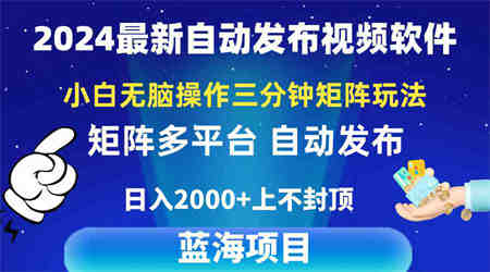 （10166期）2024最新视频矩阵玩法，小白无脑操作，轻松操作，3分钟一个视频，日入2k+-侠客分享网