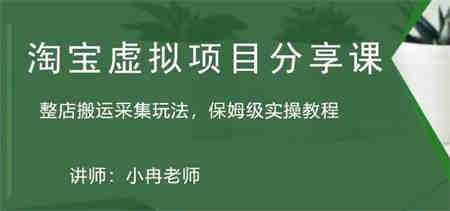 淘宝虚拟整店搬运采集玩法分享课：整店搬运采集玩法，保姆级实操教程-侠客分享网