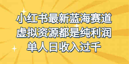 外面收费1980的小红书最新蓝海赛道，虚拟资源都是纯利润，单人日收入过千-侠客分享网