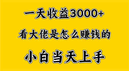 一天赚3000多，大佬是这样赚到钱的，小白当天上手，穷人翻身项目-侠客分享网