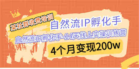 某社群收费培训：自然流IP 孵化手-14天线上实操训练营 4个月变现200w-侠客分享网