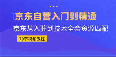 京东自营入门到精通：京东从入驻到技术全套资源匹配（79节课）-侠客分享网