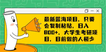 最新蓝海项目，只要会复制粘贴，日入800+，大学生考研项目，目前做的人极少-侠客分享网