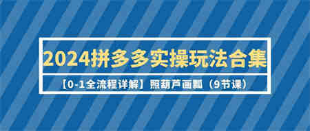 （9559期）2024拼多多实操玩法合集【0-1全流程详解】照葫芦画瓢（9节课）-侠客分享网