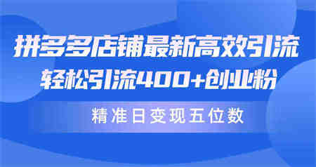 （10041期）拼多多店铺最新高效引流术，轻松引流400+创业粉，精准日变现五位数！-侠客分享网