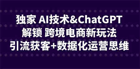 独家 AI技术&ChatGPT解锁 跨境电商新玩法，引流获客+数据化运营思维-侠客分享网