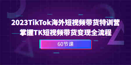 2023-TikTok海外短视频带货特训营，掌握TK短视频带货变现全流程（60节课）-侠客分享网