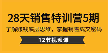 28天·销售特训营5期：了解赚钱底层思维，掌握销售成交密码（12节课）-侠客分享网