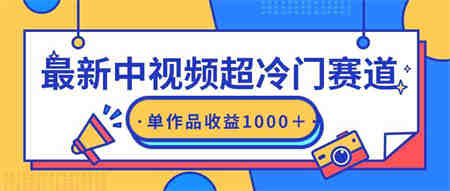 （9275期）最新中视频超冷门赛道，轻松过原创，单条视频收益1000＋-侠客分享网