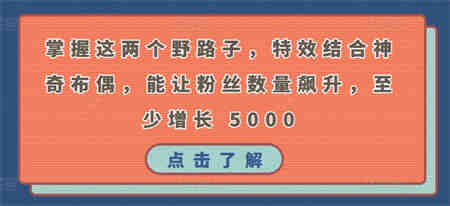 掌握这两个野路子，特效结合神奇布偶，能让粉丝数量飙升，至少增长 5000-侠客分享网