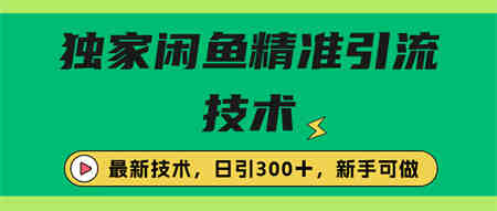 独家闲鱼引流技术，日引300＋实战玩法-侠客分享网