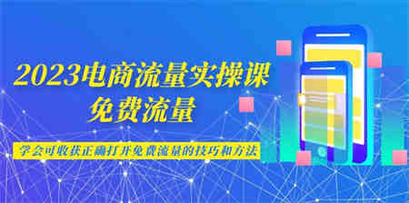 2023电商流量实操课-免费流量，学会可收获正确打开免费流量的技巧和方法-侠客分享网