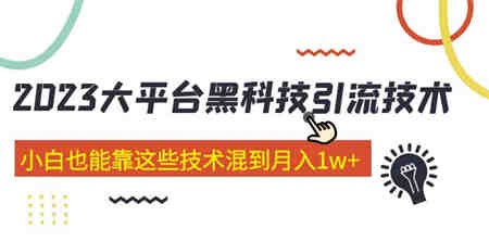 价值4899的2023大平台黑科技引流技术 小白也能靠这些技术混到月入1w+29节课-侠客分享网