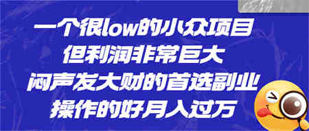 一个很low的小众项目，但利润非常巨大，闷声发大财的首选副业，月入过万-侠客分享网