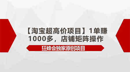 （9849期）【淘宝超高价项目】1单赚1000多，店铺矩阵操作-侠客分享网