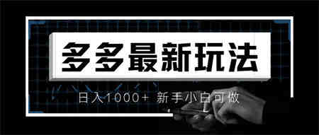 价值4980的拼多多最新玩法，月入3w【新手小白必备项目】-侠客分享网