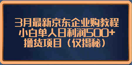 3月最新京东企业购教程，小白单人日利润500+撸货项目（仅揭秘）-侠客分享网