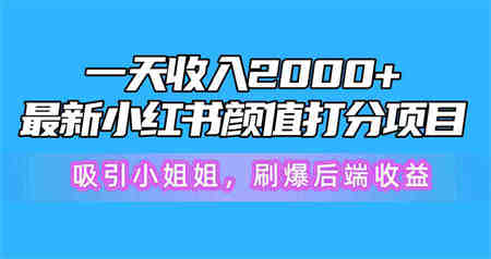 （10187期）一天收入2000+，最新小红书颜值打分项目，吸引小姐姐，刷爆后端收益-侠客分享网