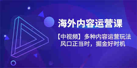 （10833期）海外内容 运营课【中视频】多种内容运营玩法 风口正当时 掘金好时机-101节-侠客分享网